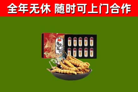 吴起县回收冬虫夏草价格